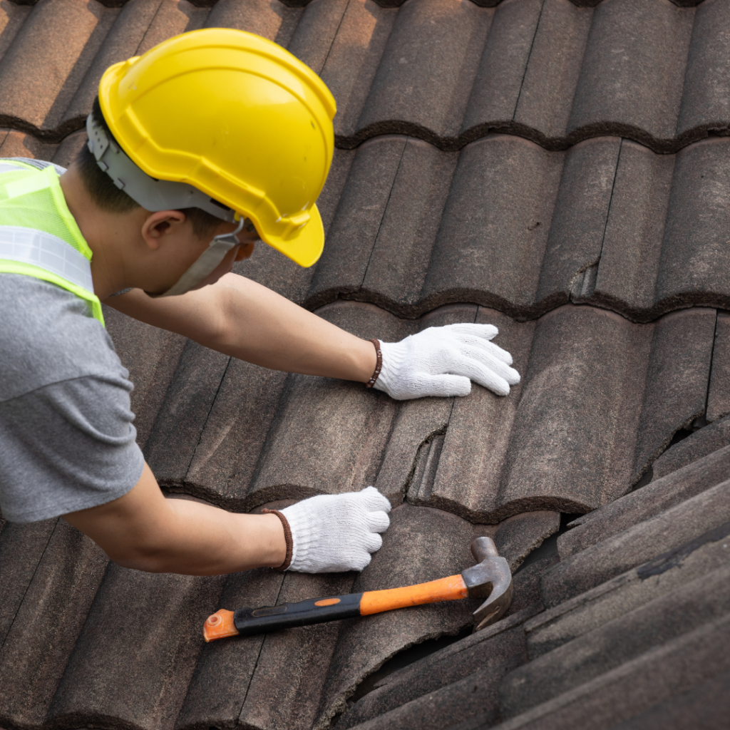 Roof Maintenance_